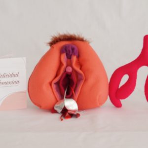 Kit Vulva Mediana