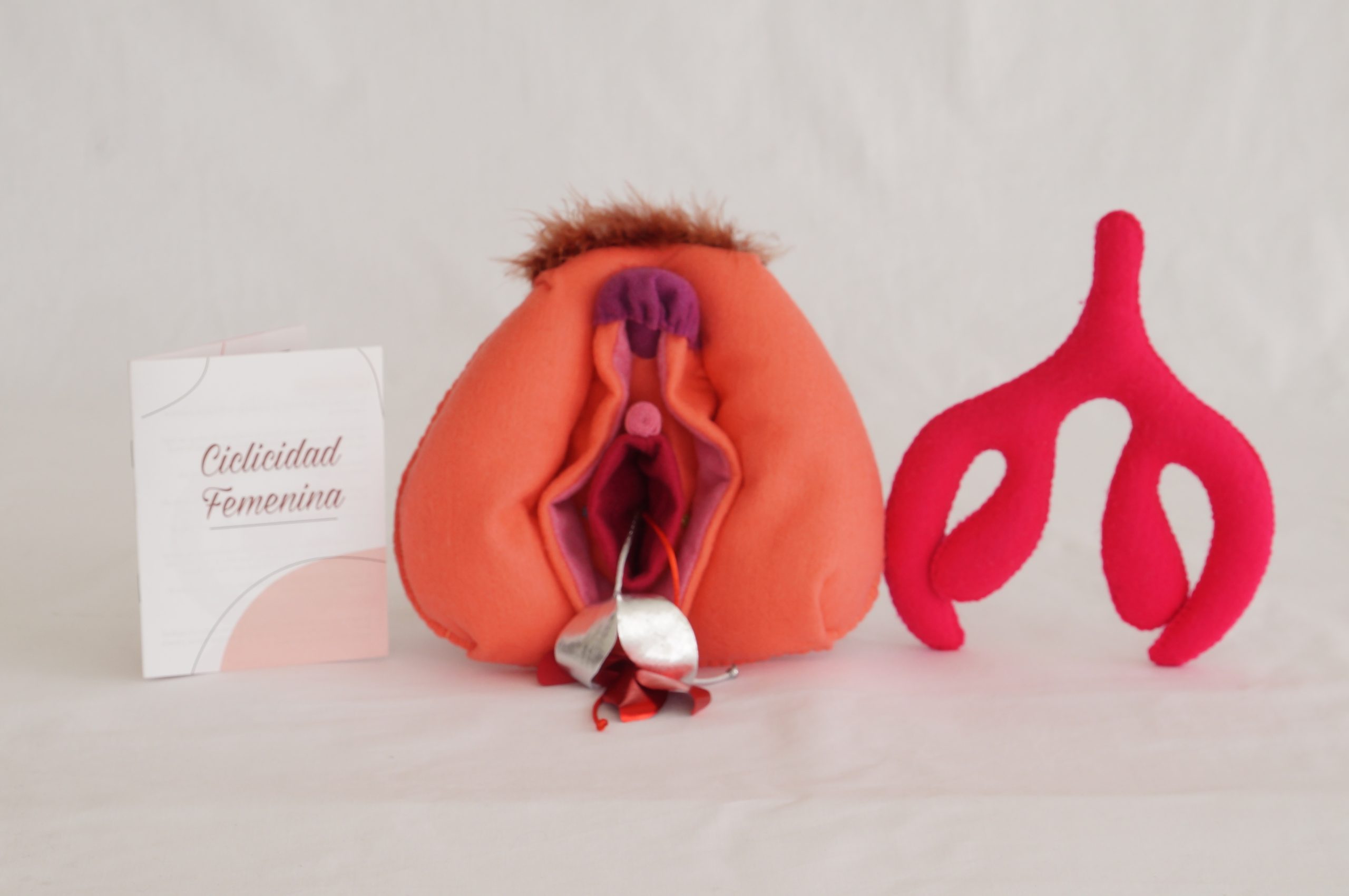 Kit Vulva Mediana