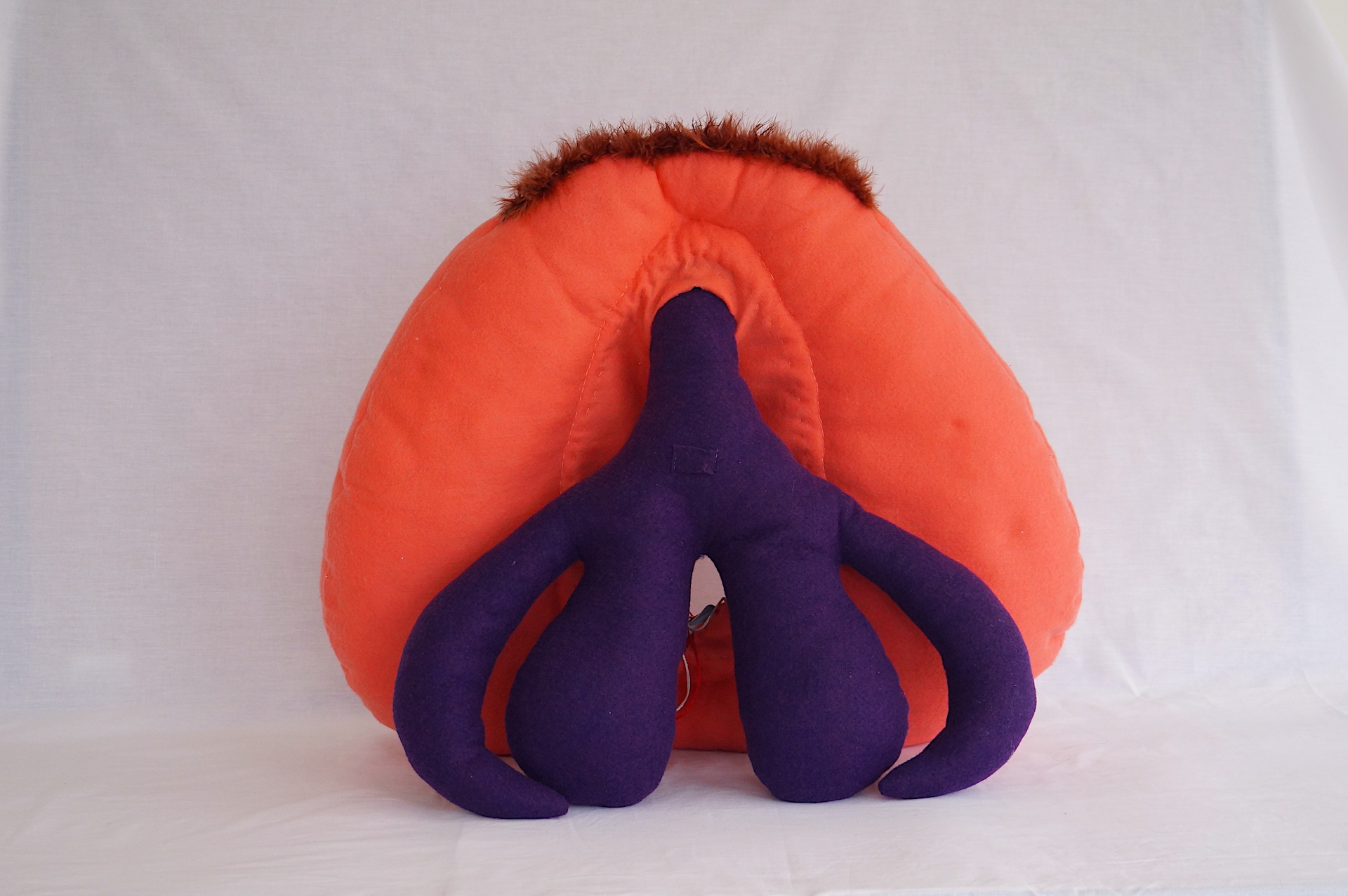 Kit Vulva gigante - Imagen 4